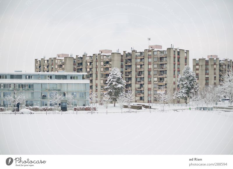 beautiful life 1.0 Nature Clouds Horizon Winter Bad weather Ice Frost Tree Meadow Field Town Outskirts Skyline House (Residential Structure) High-rise