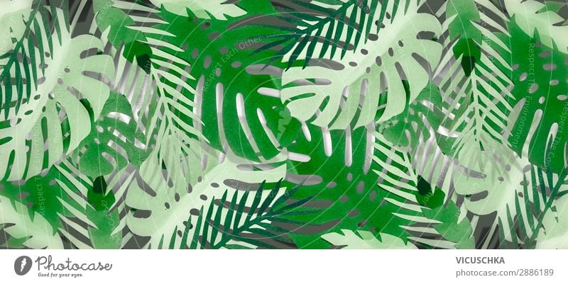 Tropical Leaves Background . - a Royalty Free Stock Photo from Photocase