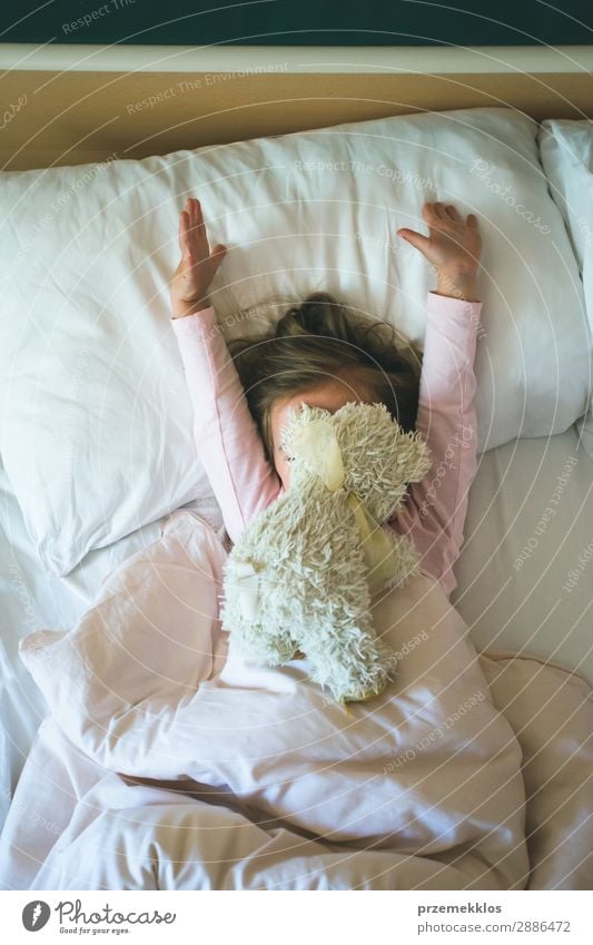 Little girl lying in a bed with teddy bear at the morning. Happy mornings. Girl child enjoying morning in bed Beautiful Playing Child Human being Woman Adults
