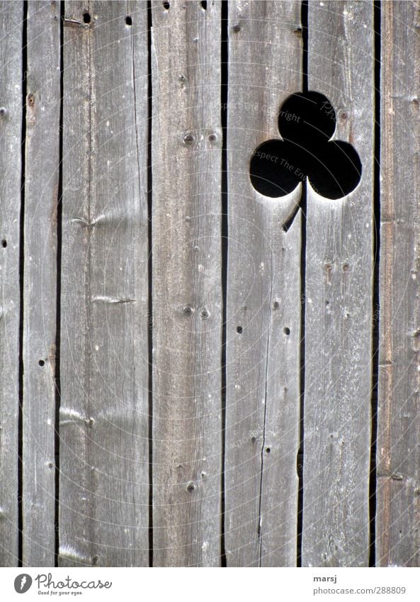 wood clover Wooden board Wooden wall Museum Hut Barn Facade Sign Ornament Old Simple Elegant Brown Black Weathered Cloverleaf Colour photo Subdued colour