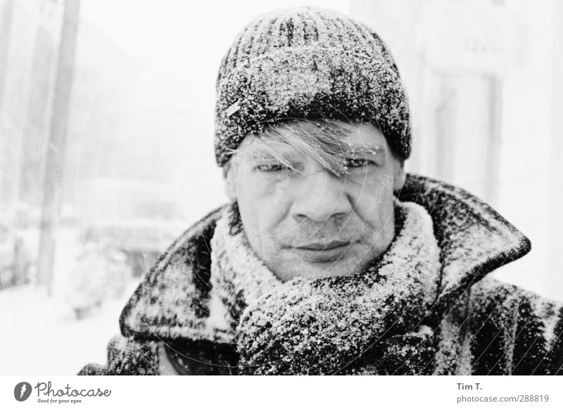 Ick Human being Masculine Head 1 30 - 45 years Adults Winter Snow Snowfall Warm-heartedness "Tim," Cap Scarf Colour photo Exterior shot Day Portrait photograph