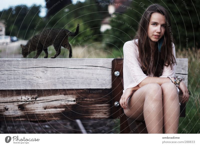 CATS II Feminine Young woman Youth (Young adults) Woman Adults Life 1 Human being 18 - 30 years Nature Landscape Summer Park Hair and hairstyles Brunette
