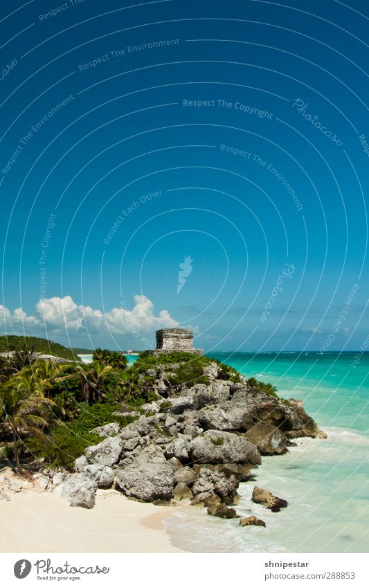 Tulum, Yucatán, Mexico Vacation & Travel Tourism Trip Far-off places Sightseeing Expedition Summer Summer vacation Beach Ocean Caribbean Sea Honeymoon Wedding