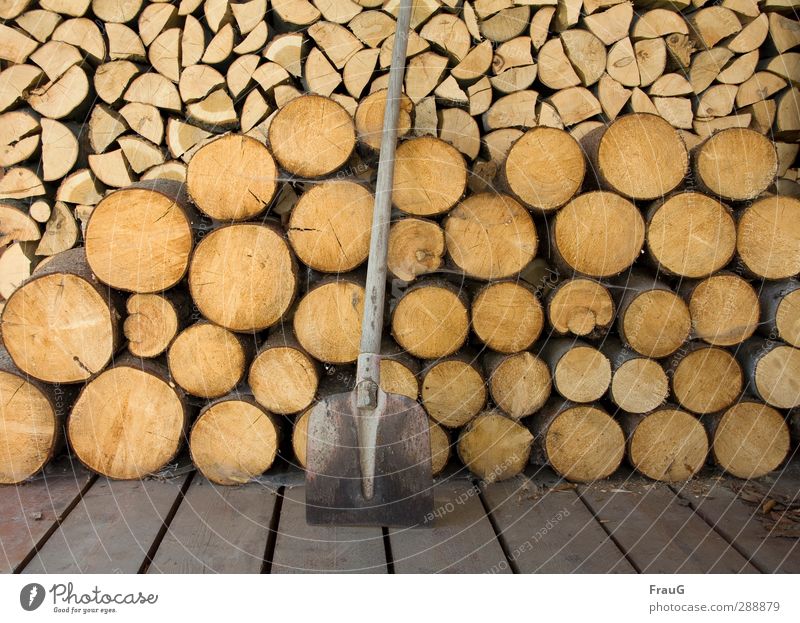 fartight Shovel Wood Work and employment Brown Safety (feeling of) Warm-heartedness Orderliness Effort Nature Firewood Chop sawn Stack Colour photo