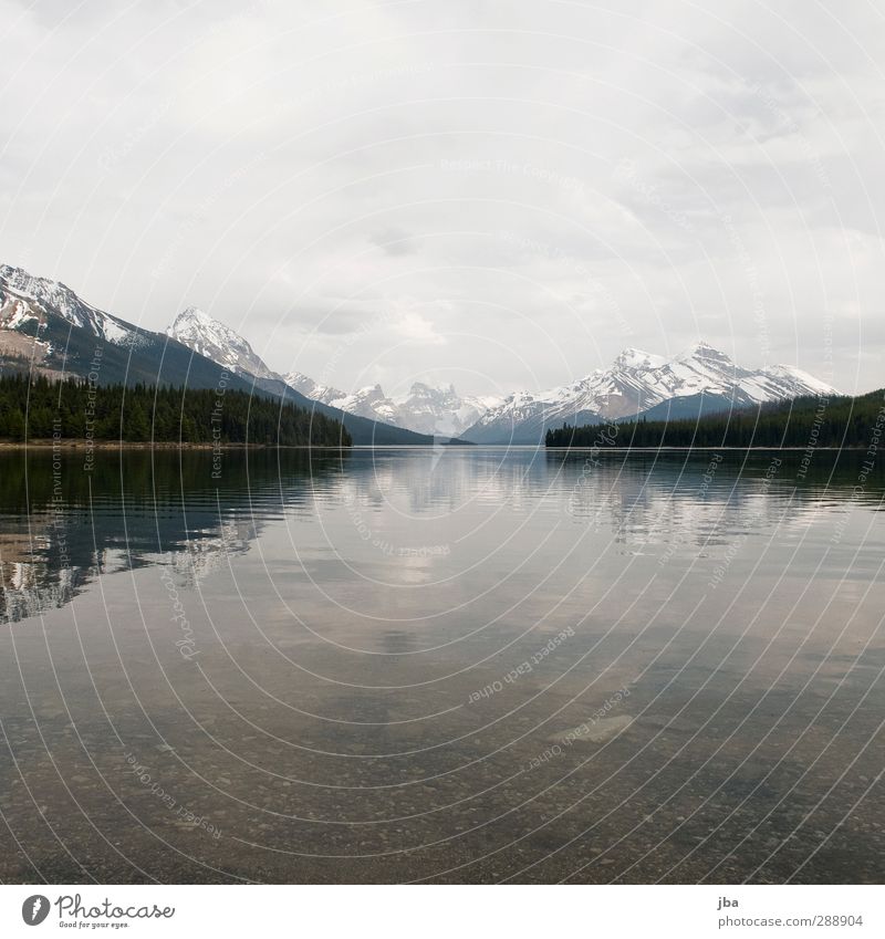 Maligne Lake Harmonious Relaxation Calm Tourism Far-off places Summer Mountain Hiking Nature Landscape Water Clouds Bad weather Forest Rock Peak Lakeside