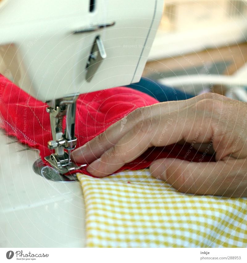 man at work [ Darn and Sewn ] Leisure and hobbies Handcrafts Sewing Stitching Craft (trade) Sewing machine Adults Life Men`s hand 1 Human being Patchwork Rag