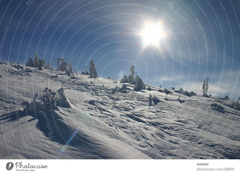 winter sun Black Forest Winter Back-light Cold White Mountain Snow Sun Landscape Sky Blue