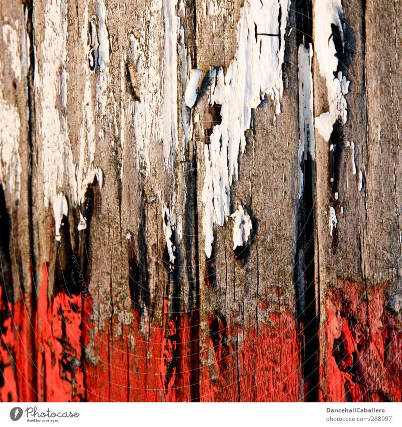 white & red Art Wood Old Red White Colour Destruction Varnish Dry Breakage Flake off Painted Painting (action, work) Wood fiber Structures and shapes Line