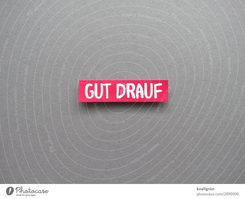 GOOD DRAUF Characters Signs and labeling Communicate Cool (slang) Positive Gray Red White Emotions Moody Joy Happy Joie de vivre (Vitality) Optimism Success