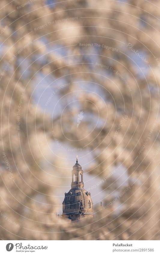 #A# Dresden Flower V Environment Climate Esthetic Frauenkirche Saxony Blossoming Green pastures Domed roof Historic Buildings Colour photo Subdued colour