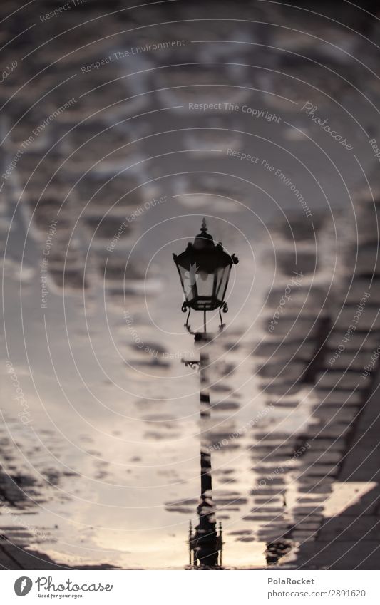 #A# when sun goes down Art Esthetic Lantern Street lighting Lampion Lamp post Dresden Saxony Reflection Puddle Colour photo Subdued colour Exterior shot Detail