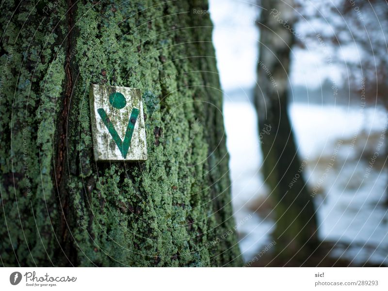 tree symbol Hunting Hiking Agriculture Forestry Nature Winter Snow Tree wendland Lanes & trails Sign Signs and labeling Green White Sustainability Tree felling