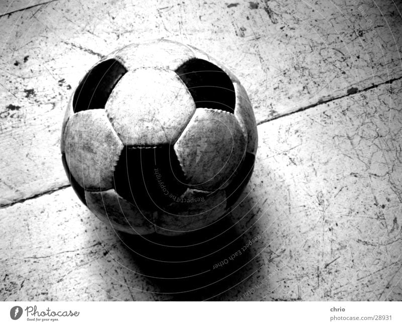 round leather Round Leather Wooden floor Leisure and hobbies Scratch mark Playing Flat (apartment) Structures and shapes Soccer Ball Black & white photo Sports