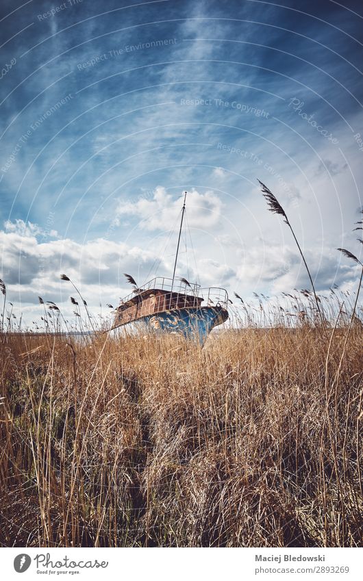 Retro toned picture of a shipwreck in the reeds Vacation & Travel Sightseeing Nature Landscape Sky Grass Wild plant Meadow Field Coast River bank Lake