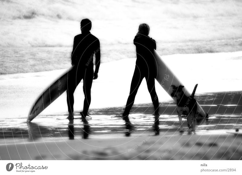 Is it Love? Beach Ocean Surfing Surfboard Dog Infrared Passenger train Waves Vantage point Sports Black & white photo B/W bw Water Observe