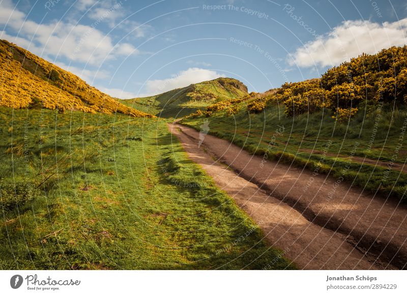 Way to Arthur's Seat in Edinburgh Vacation & Travel Freedom Hiking Environment Nature Landscape Plant Spring Bushes Esthetic Great Britain Scotland