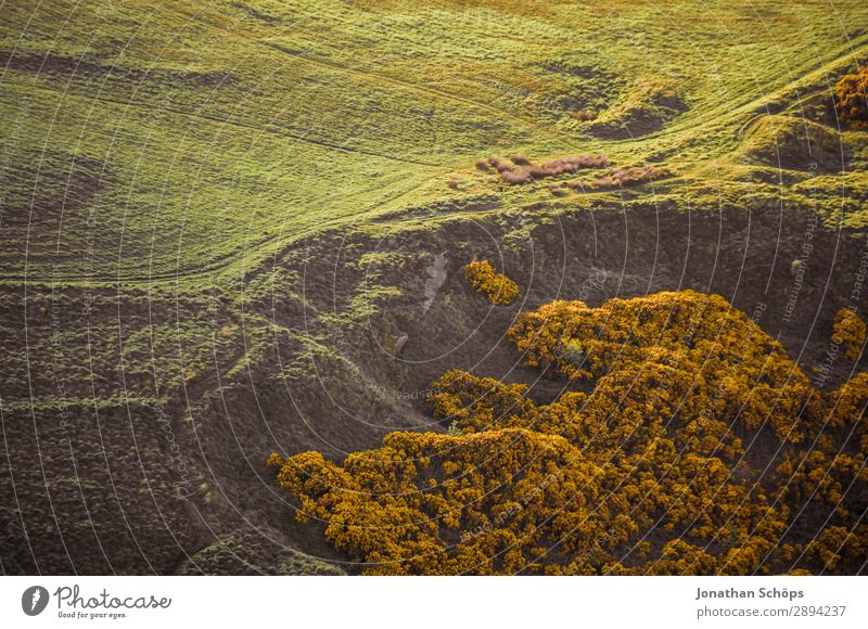 View from Arthur's Seat to Holyrood Park Vacation & Travel Tourism Freedom Hiking Meadow Lanes & trails Contentment Target Edinburgh Great Britain Scotland