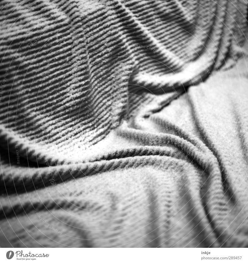 winter Winter Snow Wool blanket Blanket Line Stripe Folds Wrinkles Cold Groove Striped Black & white photo Exterior shot Close-up Detail Experimental Abstract