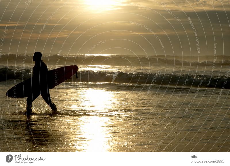 Have A Nice Surf Surfer Ocean Sunset Waves Surfboard Surfing Going Sports Water leash Silhouette Inject