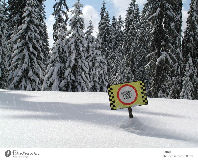 Closed runway Barred Winter Forest Snowscape Ski run Mountain Ice Deep snow Powder snow Warning sign Prohibition sign Bans Winter forest Warning colour