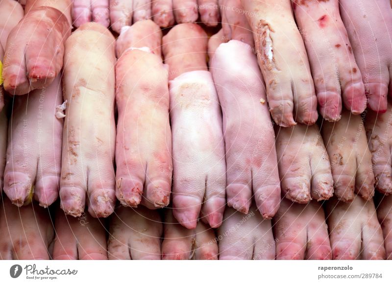 Yippie-Ya-Yeah, pork chop! Food Meat Nutrition Farm animal Dead animal Paw Pink Swine Raw Death Crowd of people Even-toed ungulate In pairs Sell pig's feet