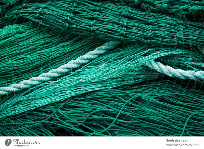 green Economy Net Network Green Complex Arrangement Fishery Fishing net Fish bone Rope Background picture Structures and shapes Colour photo Exterior shot