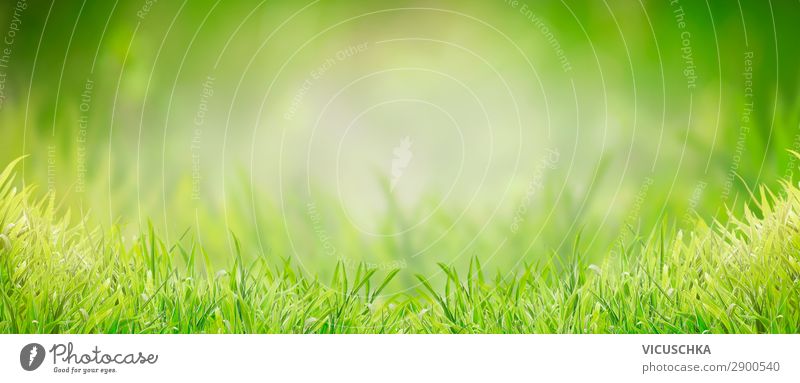 Background with green grass - a Royalty Free Stock Photo from Photocase