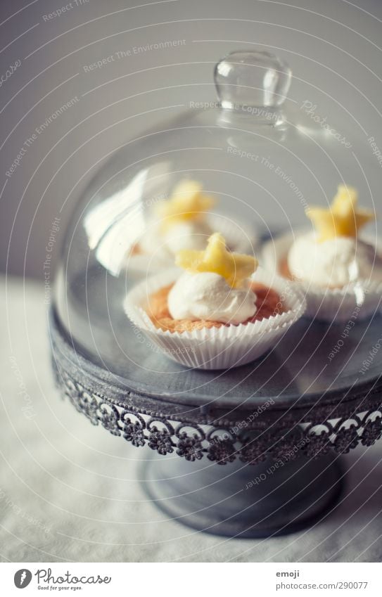 intents Dessert Candy Nutrition Picnic Finger food Crockery Cake plate Delicious Sweet Muffin Cupcake Colour photo Interior shot Deserted Neutral Background Day