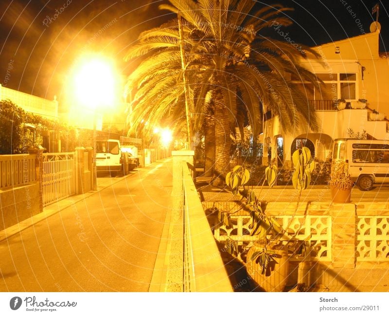 street Night Long exposure Palm tree Spain Vacation & Travel Moral Street