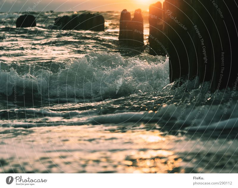 Waves in the evening light Vacation & Travel Far-off places Freedom Summer Summer vacation Sun Beach Ocean Environment Nature Elements Water Sunrise Sunset