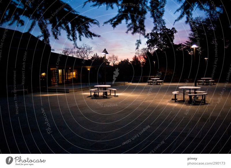 campus Chair Table Warmth Blue cafeteria Dining hall branches building glow Colour photo Exterior shot Deserted Evening Twilight Night Artificial light Contrast