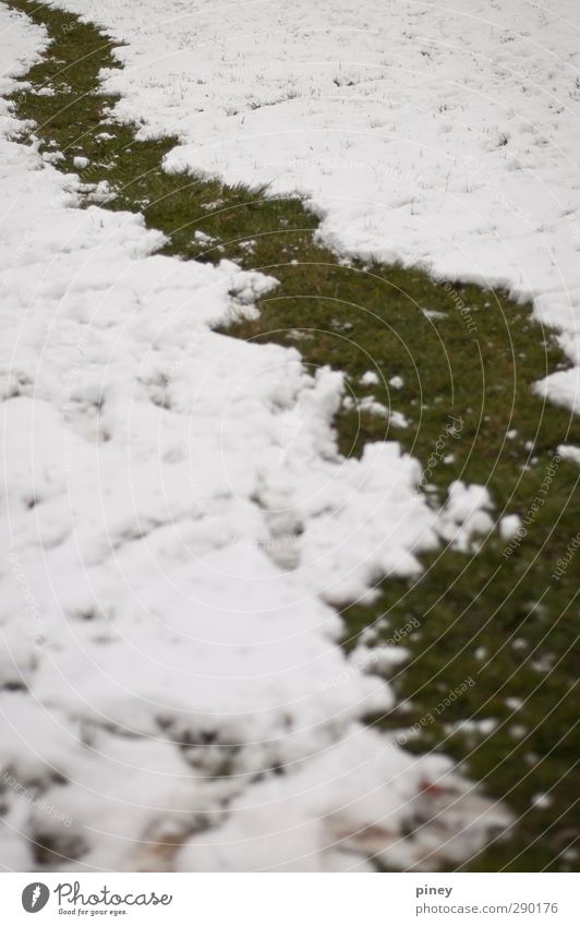 snow path Environment Nature Winter Snow Grass Cold Curiosity Green White snowball winding Colour photo Subdued colour Exterior shot Deserted Contrast