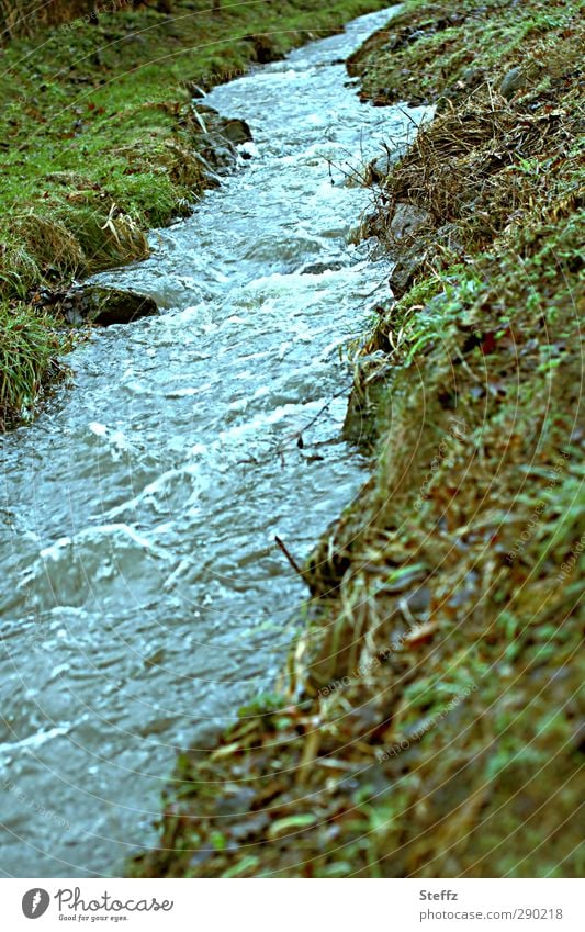The rushing of the water Brook Banks of a brook Current Noise Flow Dynamics Stream Water rushing water fluid Kinetic energy Blue Agitated light blue Elements