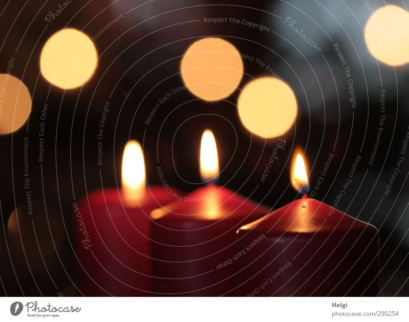 three burning red candles in front of a dark background with Bokeh Flat (apartment) Decoration Feasts & Celebrations Christmas & Advent shoulder stand Flame
