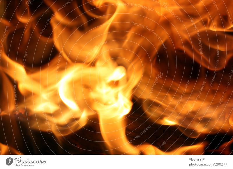 Fire! Elements Movement Glittering Illuminate Aggression Esthetic Threat Hot Bright Warmth Wild Yellow Orange Euphoria Warm-heartedness Timidity Power Nature