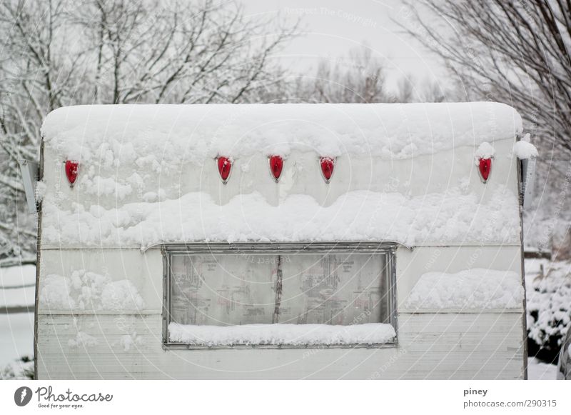 snowed in Winter Snow Snowfall Tree Vehicle Trailer Cold Gray Red Black White window centered Colour photo Subdued colour Exterior shot Deserted