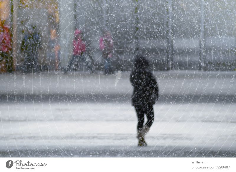 City stroll in the snowy city snowflakes Winter Snow Snowfall Town Street Cold Human being Girl Street life City life Hooded jacket Freeze Woman flake vertebrae