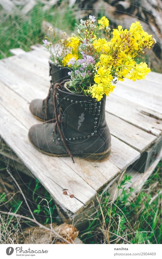 Boots filled with wildflowers Environment Nature Plant Spring Summer Flower Grass Blossom Wild plant Pot plant Leather Wood Blossoming Old Fresh Cheap Beautiful