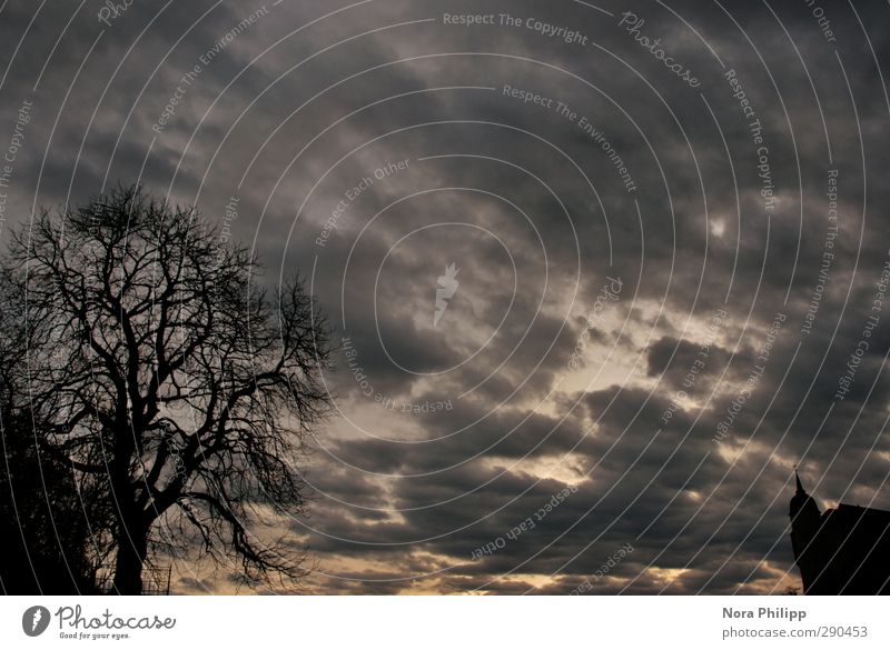 at midnight Flat (apartment) Environment Sky Clouds Storm clouds Night sky Bad weather Tree Dome Castle Manmade structures Building Sadness Concern Grief Death