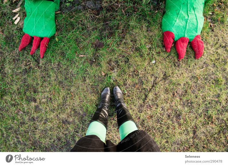 I dare you. Human being Legs Feet 1 Environment Nature Grass Park Meadow Skirt Tights Footwear Boots Animal Stand Toenail Dragon Dinosaur Knit Colour photo