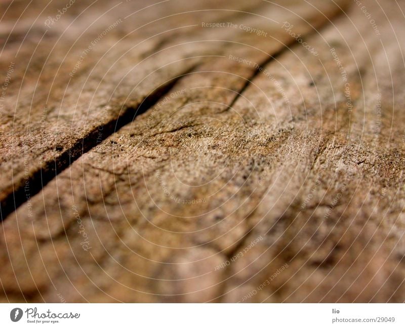 wood Wood Dry Tree trunk Wood grain Crack & Rip & Tear Macro (Extreme close-up)