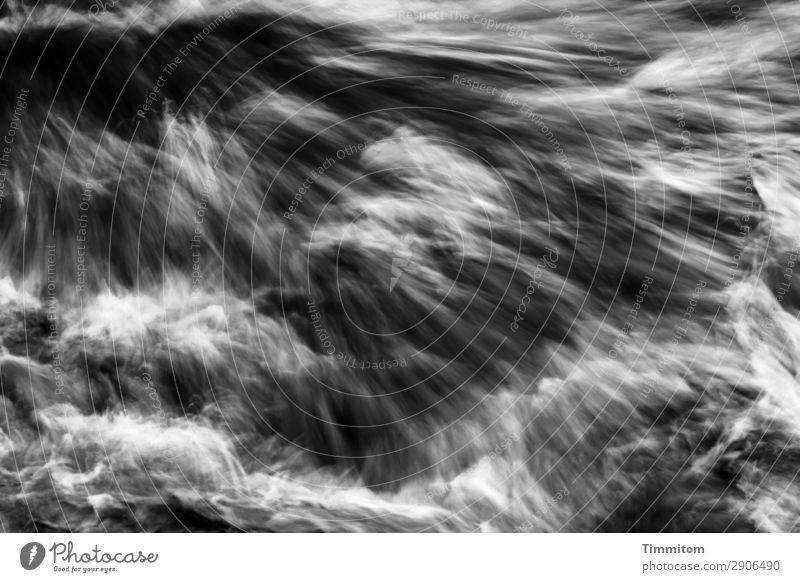Hydropower (2) Environment Nature Elements Water River Neckar Movement Gray Black White Emotions Force whirl Bubbling Waves Current White crest