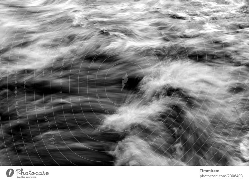 hydropower Environment Nature Elements Water River Neckar Movement Gray Black White Emotions Force whirl Bubbling Waves Current White crest