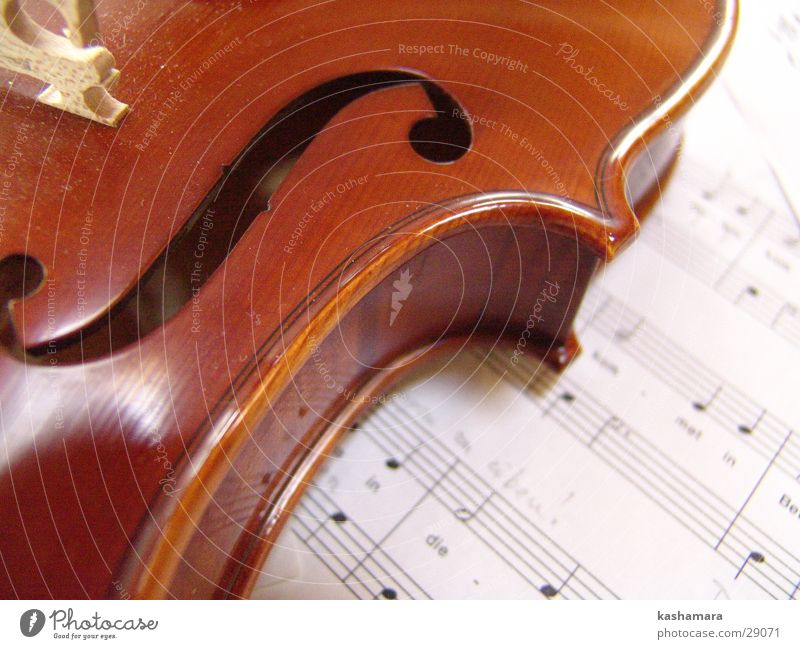 Violin Game II Music Musical notes Wood Brown Viola Song Classical Sound Musical instrument string Make music Colour photo Interior shot Detail Deserted
