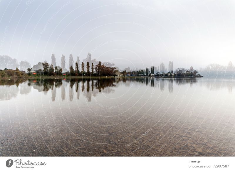 BoBodensee Nature Landscape Sky Tree Lakeside Lake Constance Exceptional Freedom Environment Irritation Double exposure Reflection Colour photo Exterior shot