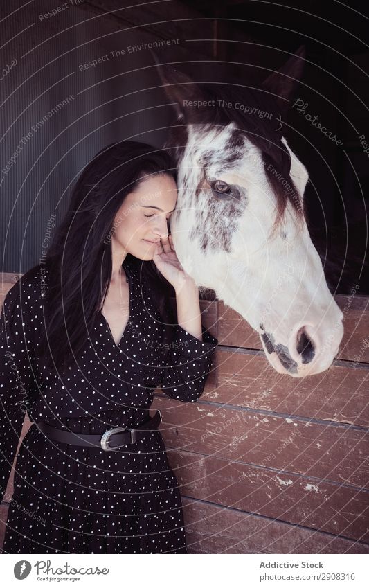 Woman near amazing horse in stall Horse Stall Amazing Youth (Young adults) Beautiful Closed eyes Attractive Charming Dress Touch Animal equestrian stallion