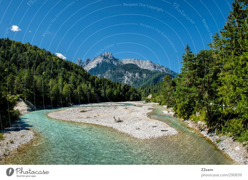 Isar origin Environment Nature Landscape Cloudless sky Summer Beautiful weather Tree Forest Alps Mountain Peak Natural Relaxation Vacation & Travel