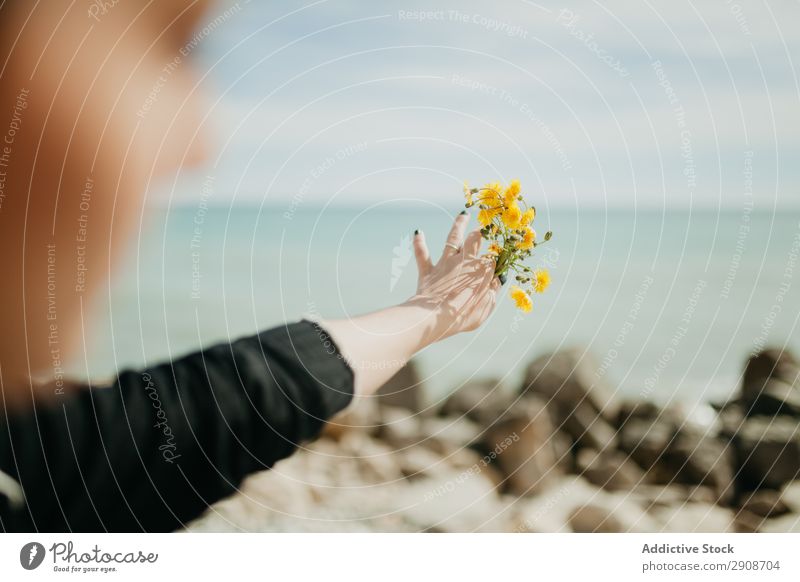 Anonymous woman throwing flowers in sea Woman Flower Ocean Cliff Resort Sunbeam Day Youth (Young adults) Blossom Nature Trip Vacation & Travel Tourism Rest