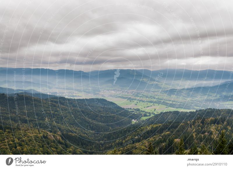 Rhine Valley Hiking Nature Landscape Storm clouds Summer Autumn Bad weather Forest Hill Moody Rhein valley Colour photo Exterior shot Deserted Copy Space top