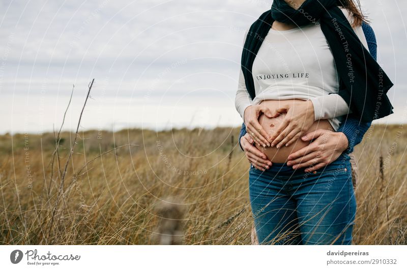 Pregnant making heart with hands on naked belly with partner Lifestyle Human being Woman Adults Man Mother Couple Partner Hand Nature Landscape Horizon Grass